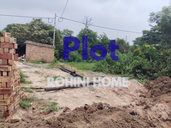 Plot in Sector 24 Rohini this ploy for buying best opportunity