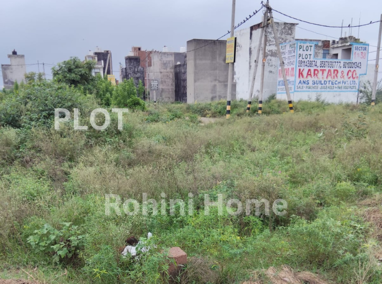 PLOT IN SECTOR 37 ROHINI for Sale and Purchase